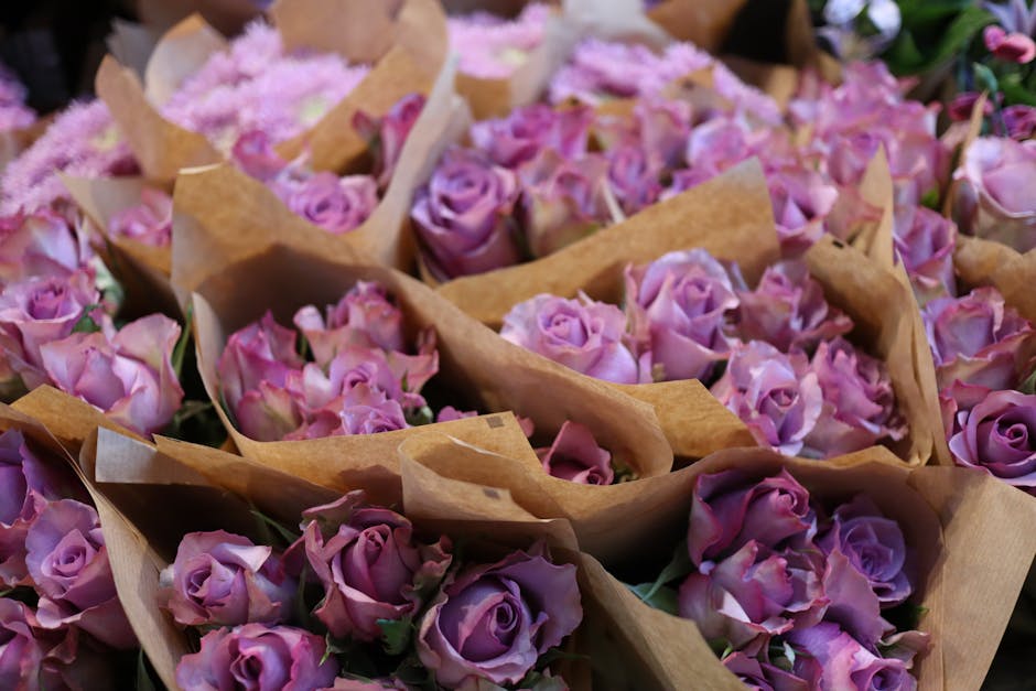 A close-up view of multiple bouquets of fresh, pink and purple roses wrapped in light brown kraft paper, arranged closely together. The roses have velvety petals with some slightly open blossoms, show