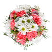 This bouquet radiates the gentle optimism of springtime in Lisson Grove, thoughtfully arranged to capture a sense of renewal and everyday celebration. At its heart, snowy-white daisies encircle lively lime-green centres, exuding innocence and vibrancy, while ruffled coral-pink carnations ripple with plush warmth. Baby's breath appears as shimmering, airy clusters, infusing the bouquet with softness, like floral confetti drifting on a Regents Park breeze. Sprigs of silver-green eucalyptus and darker leaves frame the display with calm elegance, while slender alstroemeria buds with lilac and blush hints add a note of anticipation. The overall palette is fresh, harmonious, and uplifting-a gentle tribute to local London style, suited for birthdays, congratulations, or simply conveying care to a loved one along St John's Wood High Street. Each petal and leaf speaks to the expertise of Lisson Grove florists, ensuring that this bouquet brings a sense of light, hope, and thoughtful artistry to any space or special moment.